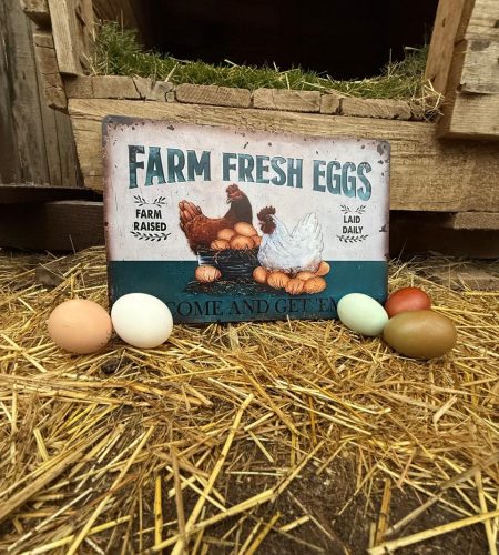 WhatsApp Image 2025-10-20 at 12.40.08