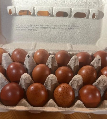 WhatsApp Image 2025-12-11 at 15.03.04